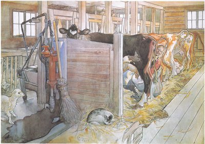 Johana milking the cows by Carl Larsson